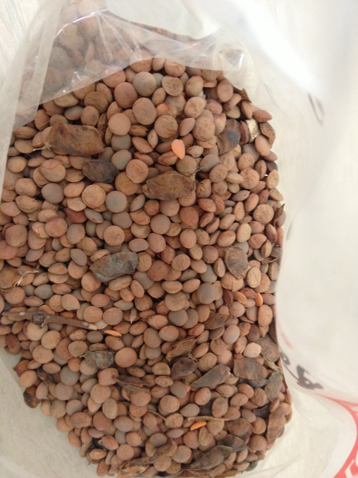 No.2 Lentils for Stockfeed Grain & Seed Lentils For Sale
